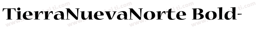 TierraNuevaNorte Bold字体转换